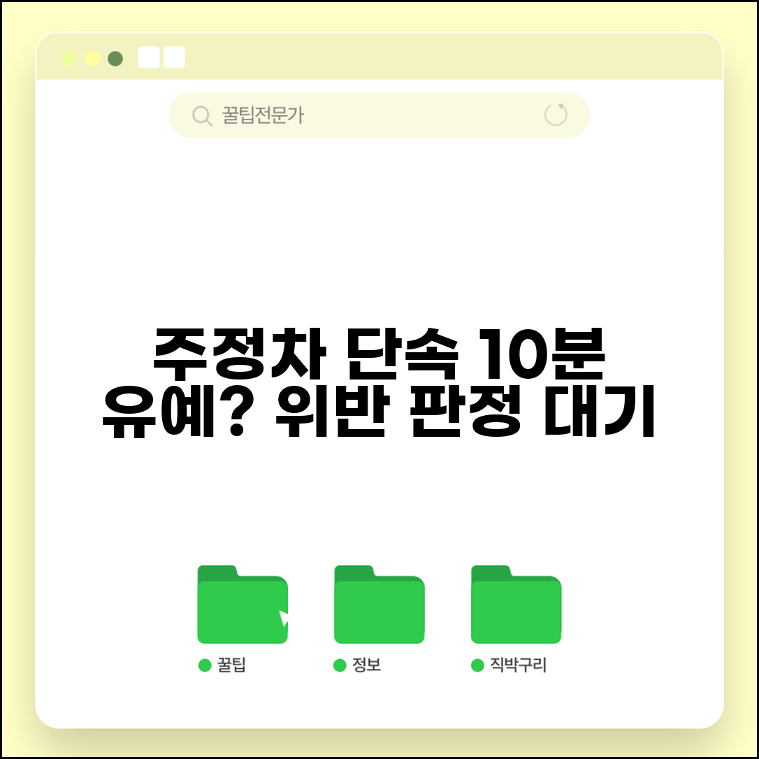 주정차단속시간 10분 기준 | 주정차 위반 판정까지 대기 시간과 단속 유예 시간