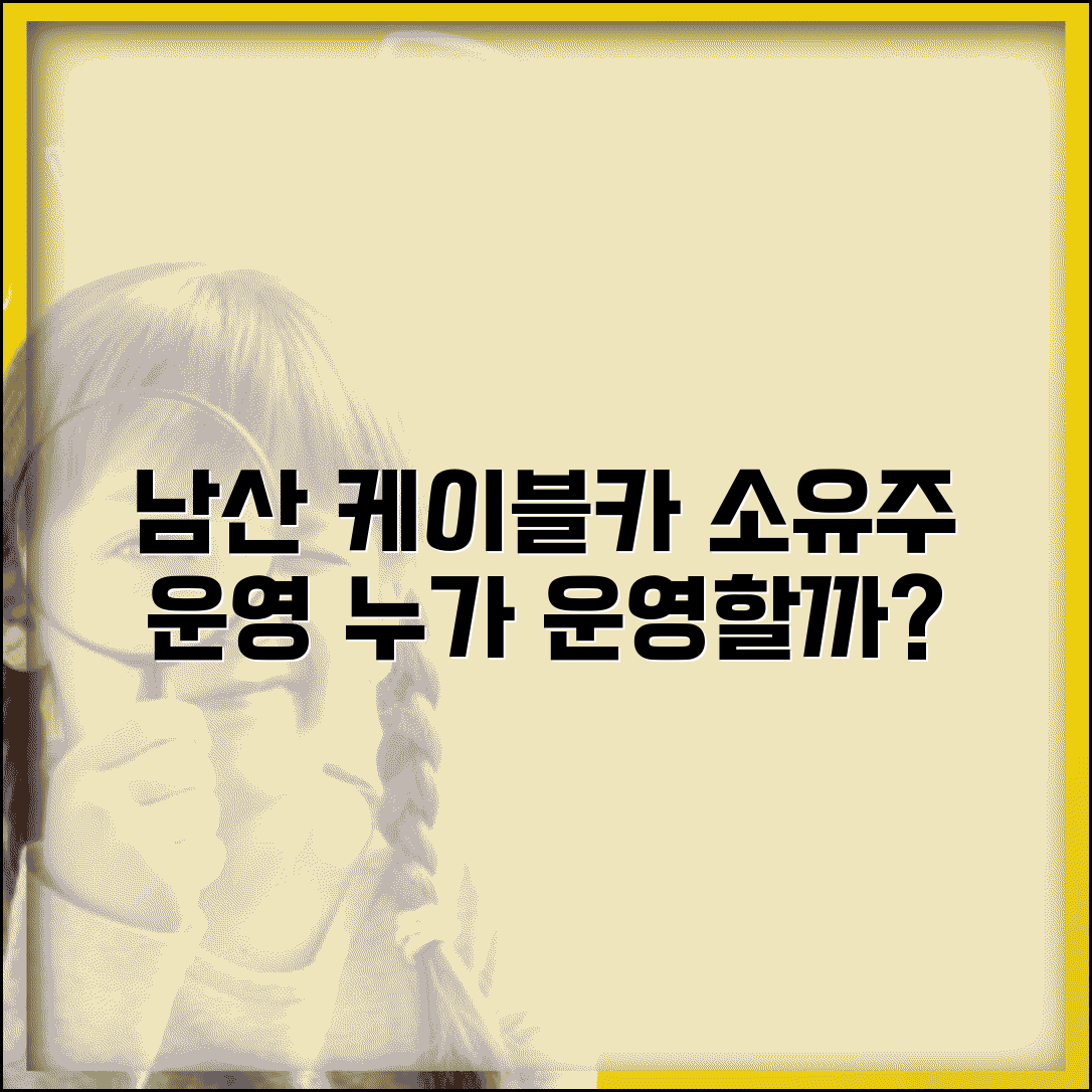 남산 케이블카 소유주 현황 운영 주체 분석