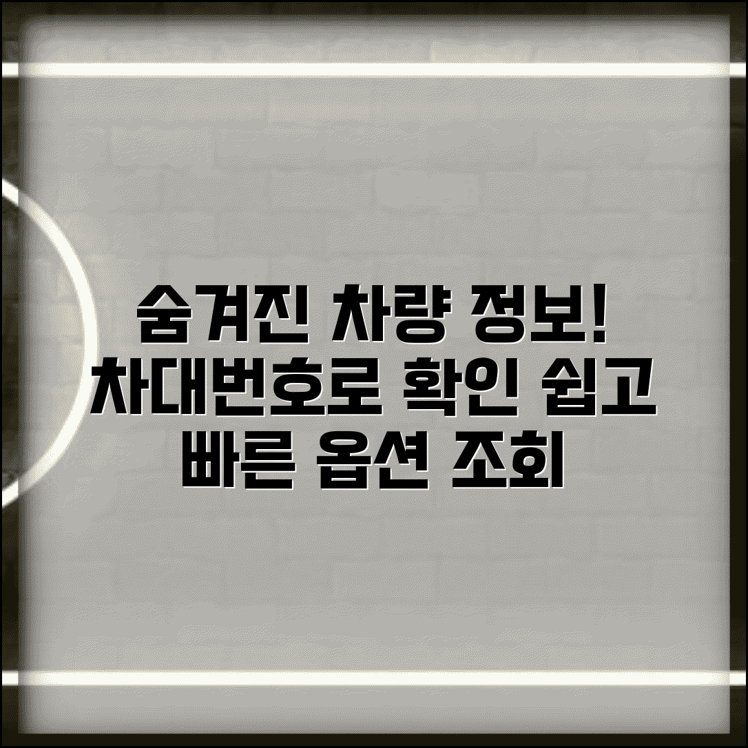 차대번호 옵션 조회 방법과 숨겨진 차량 사양 확인
