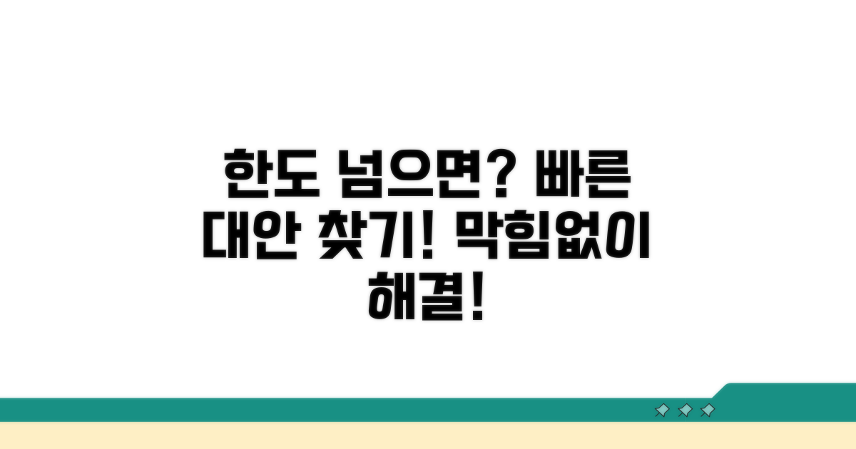 한도 초과 시 대안 확인