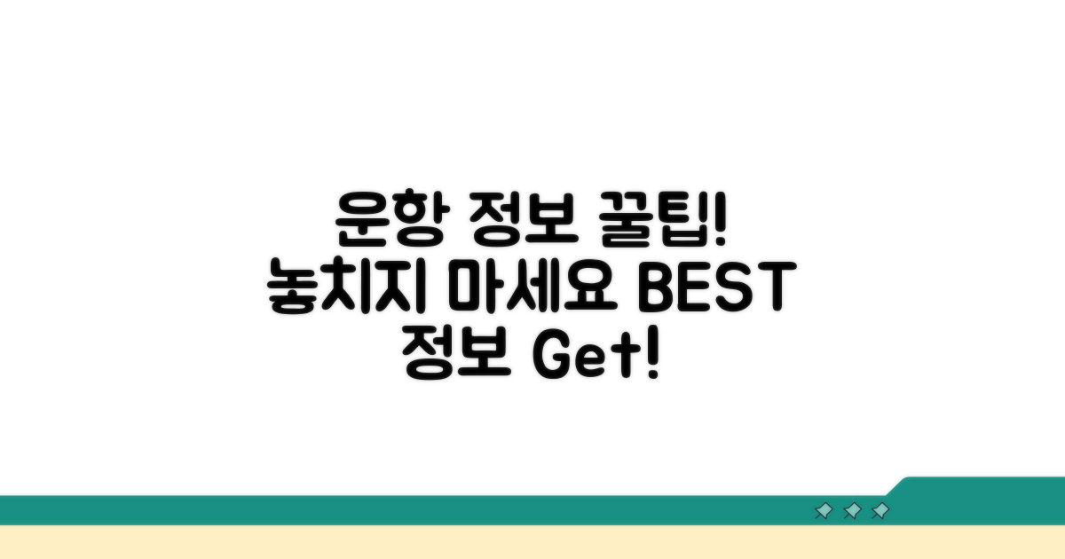 최신 운항 정보 확인 꿀팁