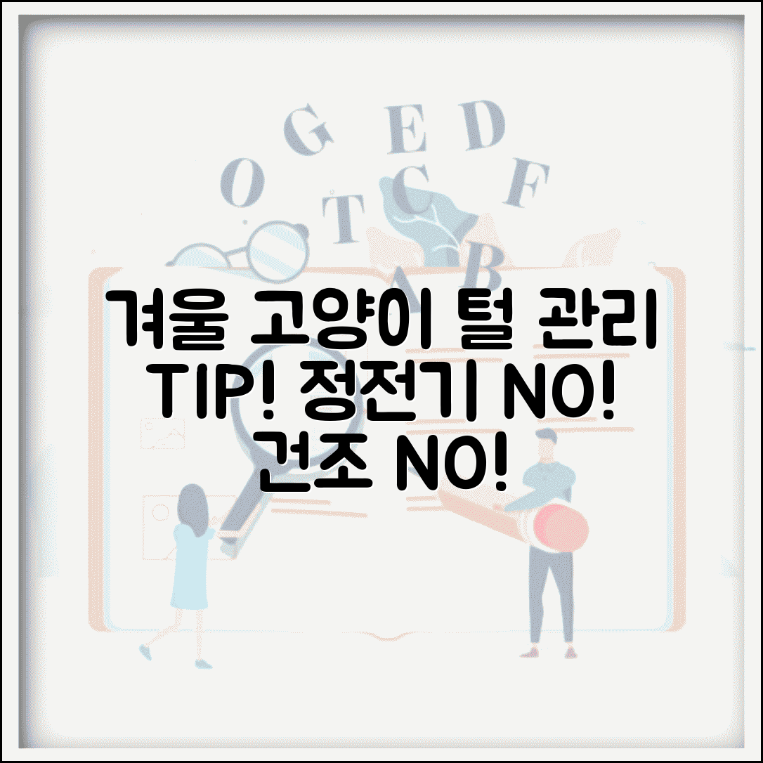 고양이 겨울철 털 관리 어떻게 해주는게 좋나요 | 겨울 고양이털 | 정전기 | 건조