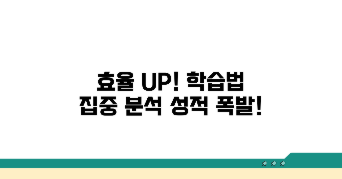 효율 극대화 학습법 집중 분석