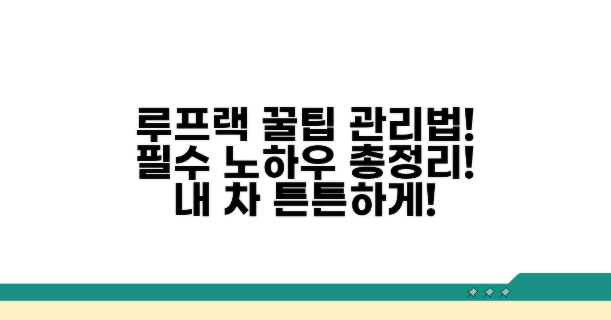 루프랙 활용 꿀팁과 관리법