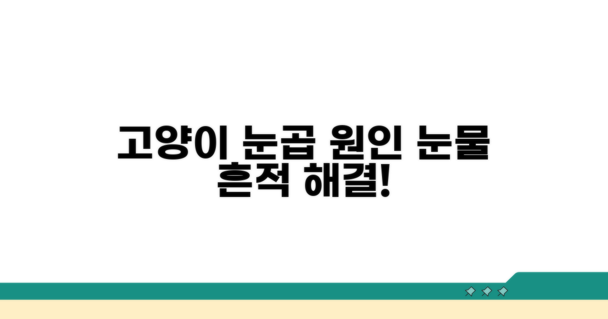 고양이 눈곱 원인과 눈물 자국 분석