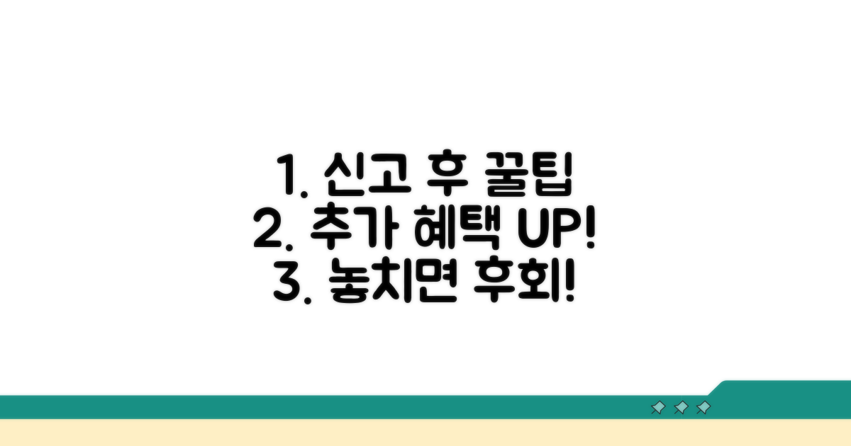 신고 완료 후 추가 혜택 활용 꿀팁